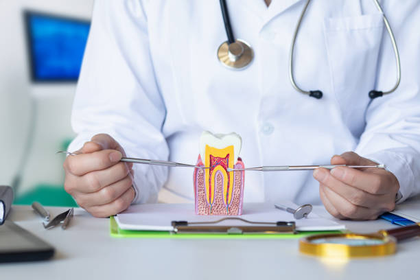 Best Root Canal Emergency Dentist  in Cherry Valley, IL